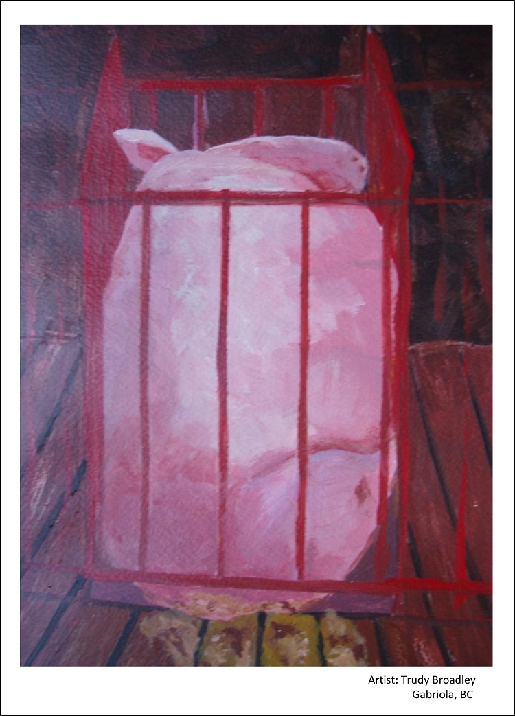 Crated sow painting