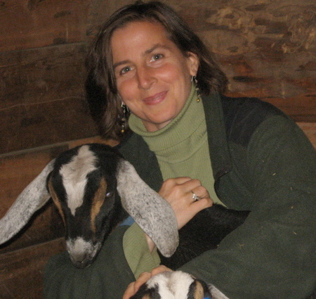 holly-goats1