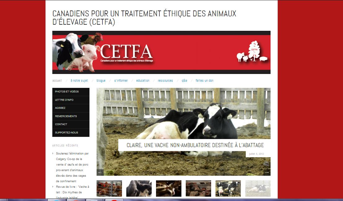 Site de CETFA en français