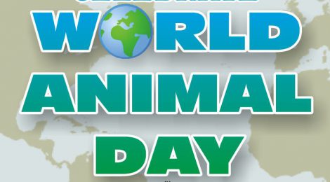 CETFA in Calgary for World Animal Day