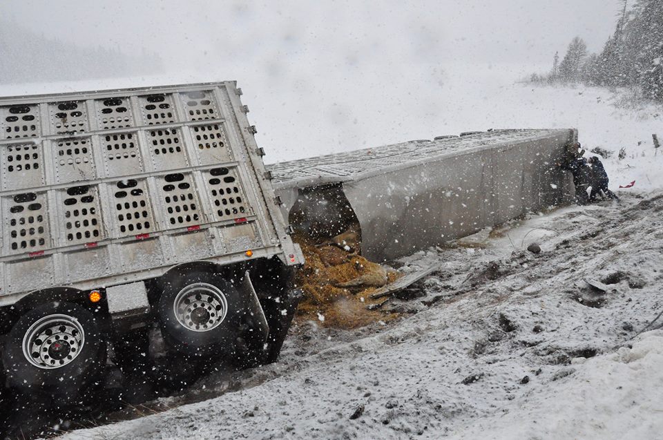 Transport trucks involved in a crash on Highway 17 near White River, in Ontario. (Margot Freitag/Facebook)