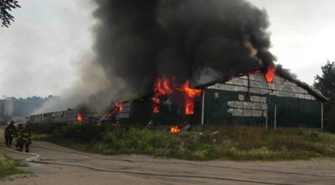 Incendies de bâtiments agricoles ayant tué des êtres animaux d'élevage au Québec (2015-2023)