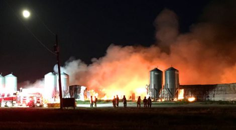 Un feu de ferme dans une zone affectée une par épidémie de DEP soulève des questions