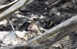 Incendies de fermes au Québec; l’hécatombe doit cesser