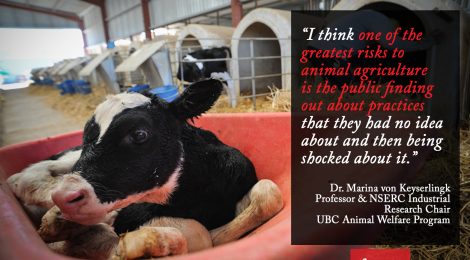 Dairy Researcher Advises Producers to Keep Practices Hidden From Public